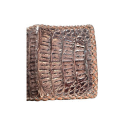 TARJETERO PIEL CAIMÁN