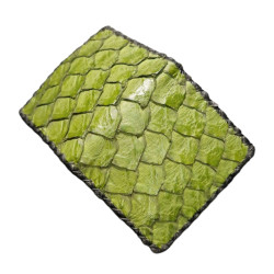 CARTERA BILLETERA PIEL PIRARUCU