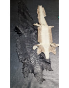 Alligator skin wallets, exotics and deluxe for woman and man.
